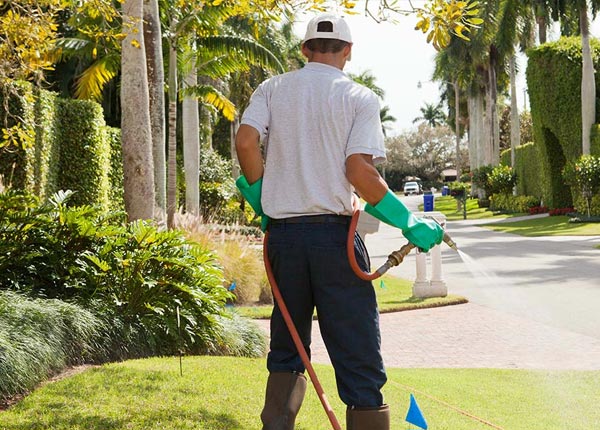 About Minneapolis MN Pest Control Pros